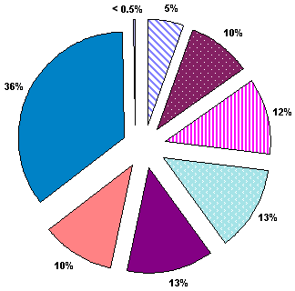 Percentage of Children Served By Age Group (FFY 2000) The following is the Table Version of the Chart