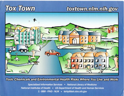 Poster - Tox Town