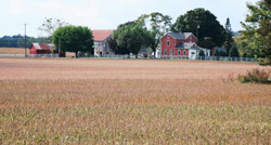 Farm House in District