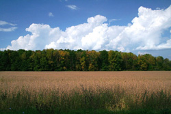 Ohio Field