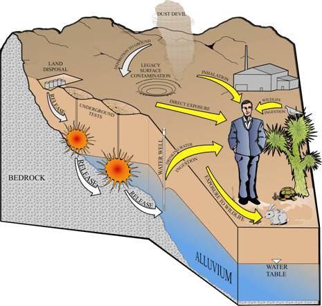 Pathways diagram drawing