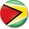 image of the flag of Guyana