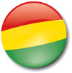 image of the flag of Bolivia