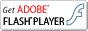 Adobe Flash Player Icon