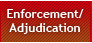 Enforcement / Adjudication