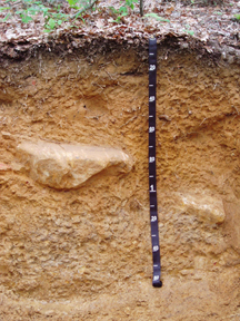 Photograph:  Bailegap soil profile; browns and orange colors.