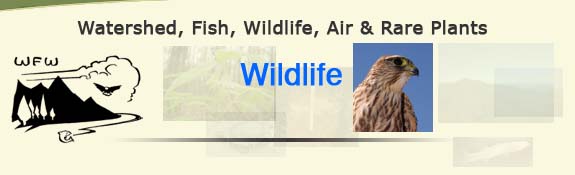 Watershed, Fish, Wildlife, Air & Rare Plants