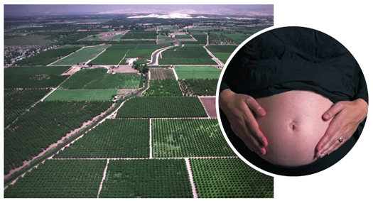 agricultural fields and a pregnant woman