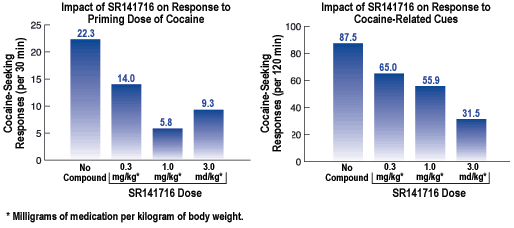 Compound Blocks Major Triggers of Drug Relapse - Graph