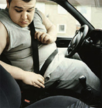obese man putting on seatbelt