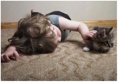 child rubbing a cat