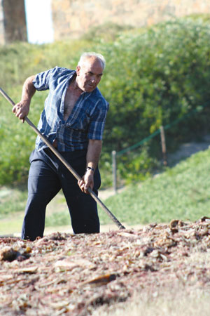 farmer working in a field