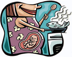 illustration of pregnant woman cooking fish