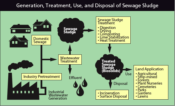 Generation, Treatment, Use, and Disposal of Sewage Sludge