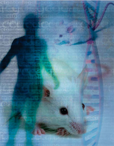 rat, person, dna collage