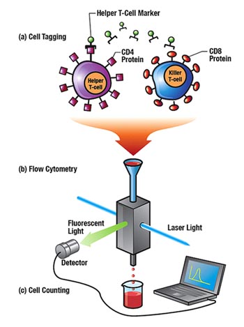 flow cytometry is a method of counting thousands of cells per second