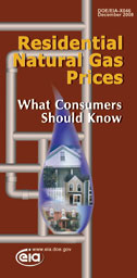 Residential Natural Gas Prices brochure cover