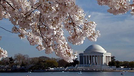 The Jefferson Memorial