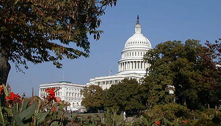 The Capitol Building