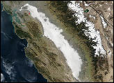 Dense Fog in Central California