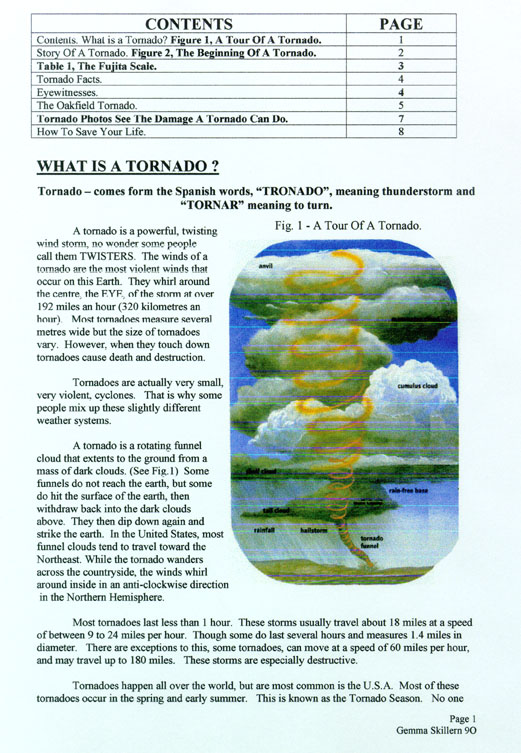 Tornadoes: The Most Deadly Natural Occurance Report Page 1.