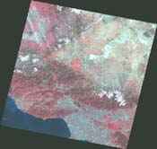 [Photograph] Landsat Scene