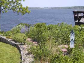 Picture of a butterfly garden along a shoreline.