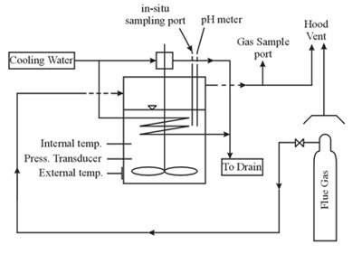 One Liter Reactor Apparatus