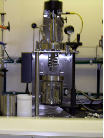 Autoclave Reactor