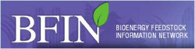 BFIN logo