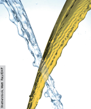 Battle of the Biofuels