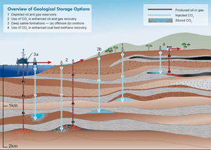 Ovrview of Geological Storage Options