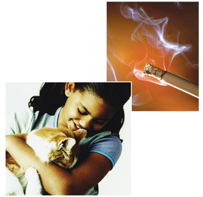 cat and tobacco smoke