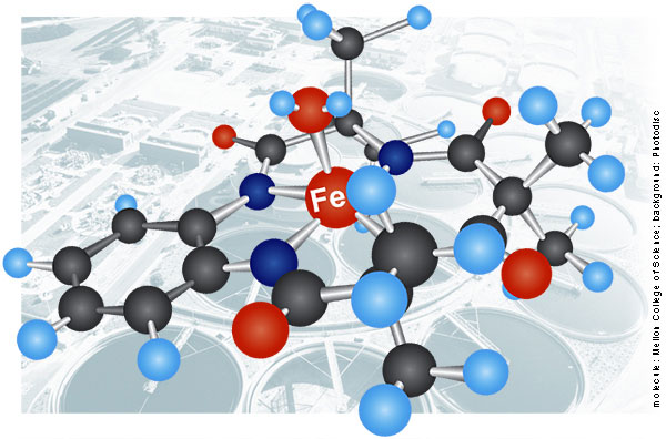 Fe-TAML: Catalyst for Cleanup