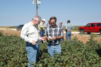 Randy sees cotton farming first hand