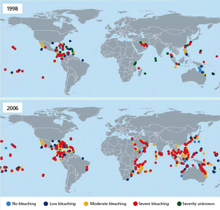 global trends in coral bleaching