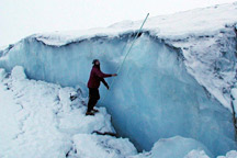 Denali's Fault (DAAC Study)