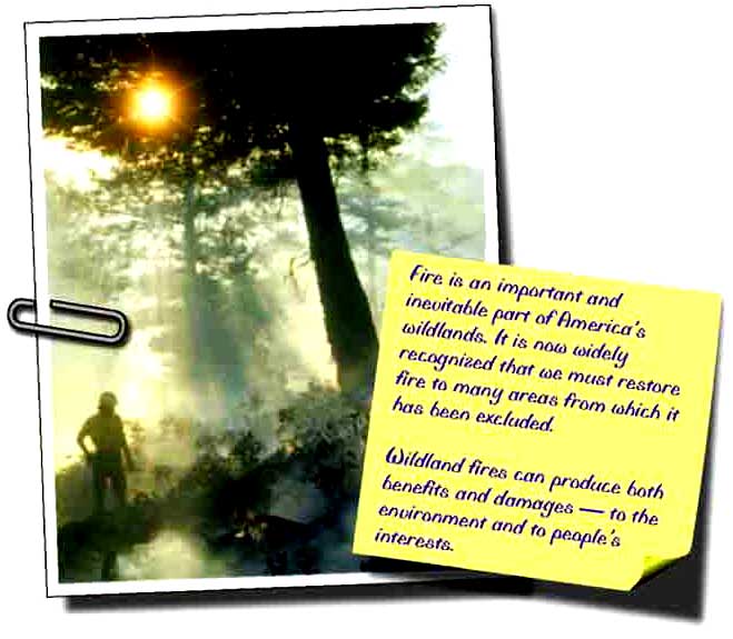 Photo of page 1 of the message:  Fire is an important and inevitable part of America's wildlands.  It is now widely recognized that we must restore fire to many areas from which it has been excluded.  Wildland fires can produce both benefits and damages - to the environment and to people's interests.