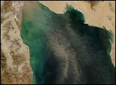Dust over the Gulf of California