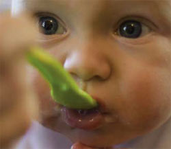 baby eating rice cereal