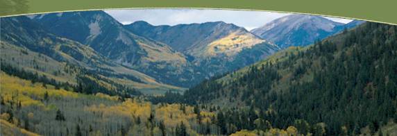 US Forest Service, Alpine, Ecosystems