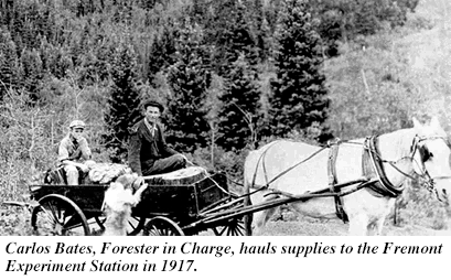 Old photo of Carlos Bates, Forester in Charge, hauling supplies to the Fremont Experiment Station in 1917