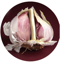 garlic clove