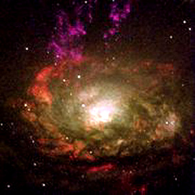 The Circinus galaxy, a Seyfert type.