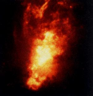 The irregular galaxy NGC1068.