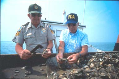 Two men inspect oysters with the Cheapeake Bay in the background