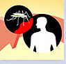 malaria graphic
