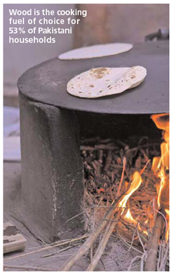 cooking on a wood stove