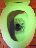 forumfig_toilet