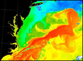 Gulf Stream's Brightness Temperature